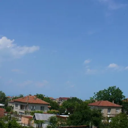 алекс 3*