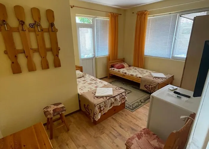 Alex 招待所 切尔诺莫雷茨