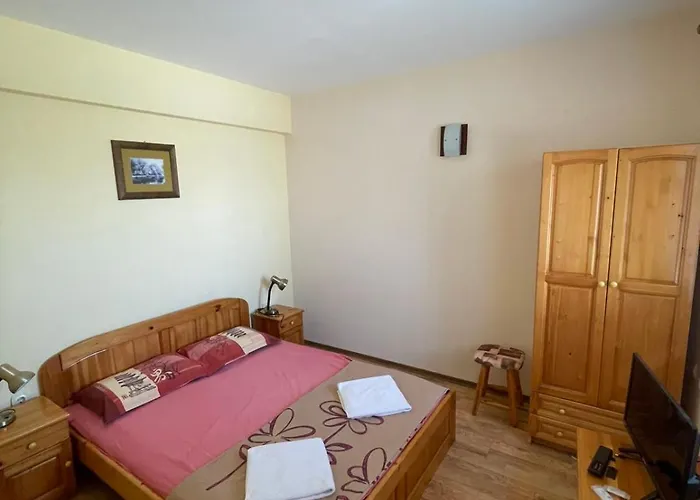 Alex 切尔诺莫雷茨